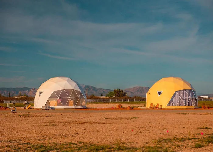 The Wine Dome Luksusowy namiot
